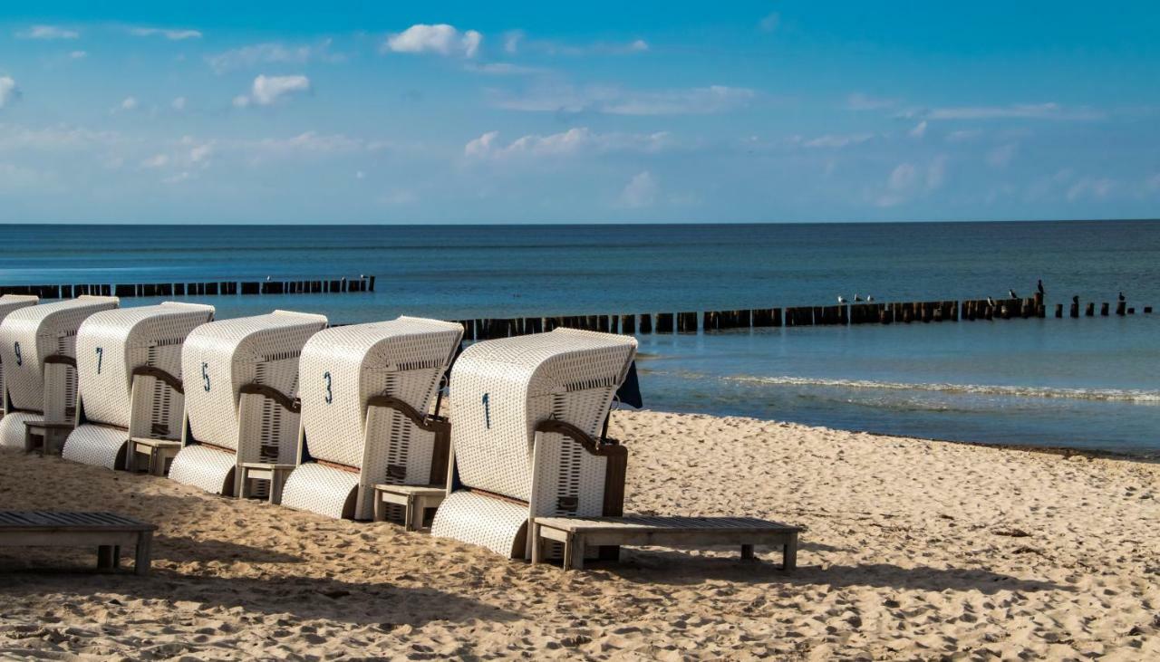 Premium-Lodge Im Der Suedschwede ... Dein Gaestehaus Mitten In 징스트 외부 사진